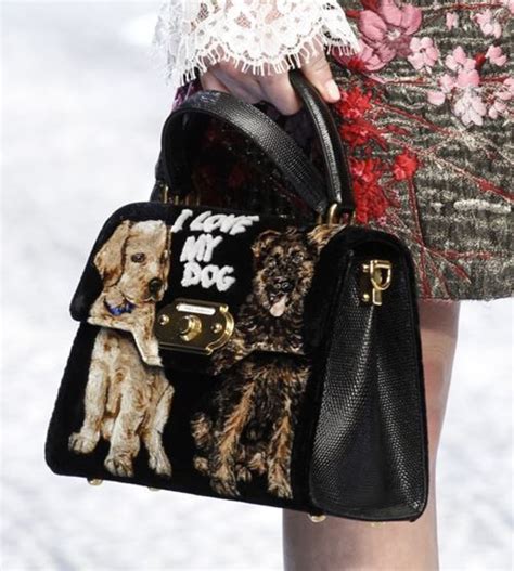 dolce gabbana dog purse|Dolce & Gabbana purses prices.